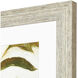 Olive Branches Green and Blue and Gray Framed Art, Propac