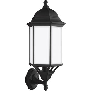 Sevier 1 Light 21.75 inch Black Outdoor Wall Lantern, Large