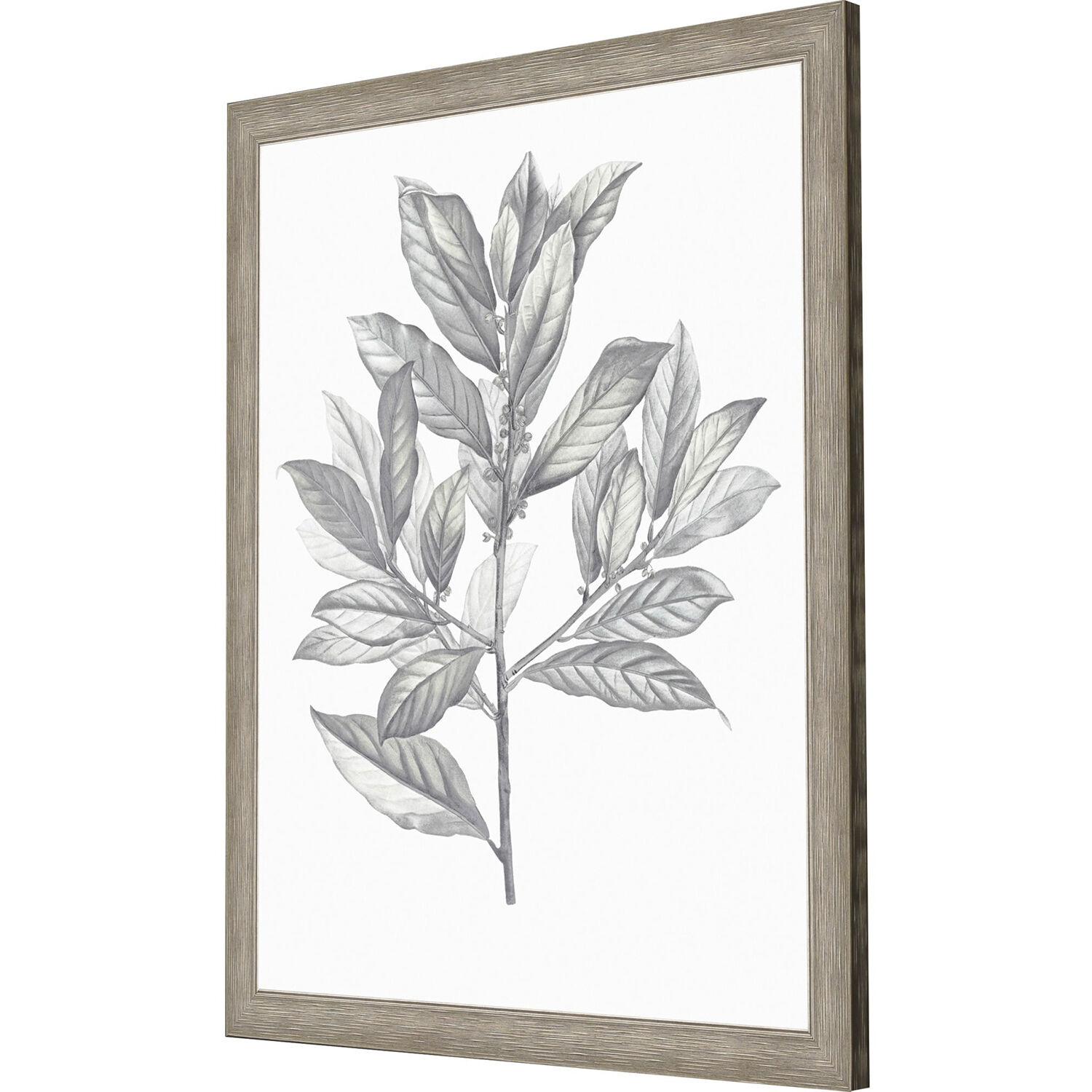 Silvered Leaves Gray and Brown and Green and Neutral Framed Art