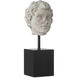Venus Head on Stand 9 X 3.5 inch Sculptures, Set of 2