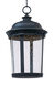 Dover LED LED 10 inch Bronze Outdoor Hanging Lantern