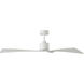 Adler 52 inch Matte White Indoor/Outdoor Ceiling Fan
