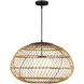 Carriage 1 Light 32.75 inch Black Outdoor Pendant
