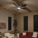 Lucian 60 inch Polished Nickel with Black/Silver Blades Ceiling Fan