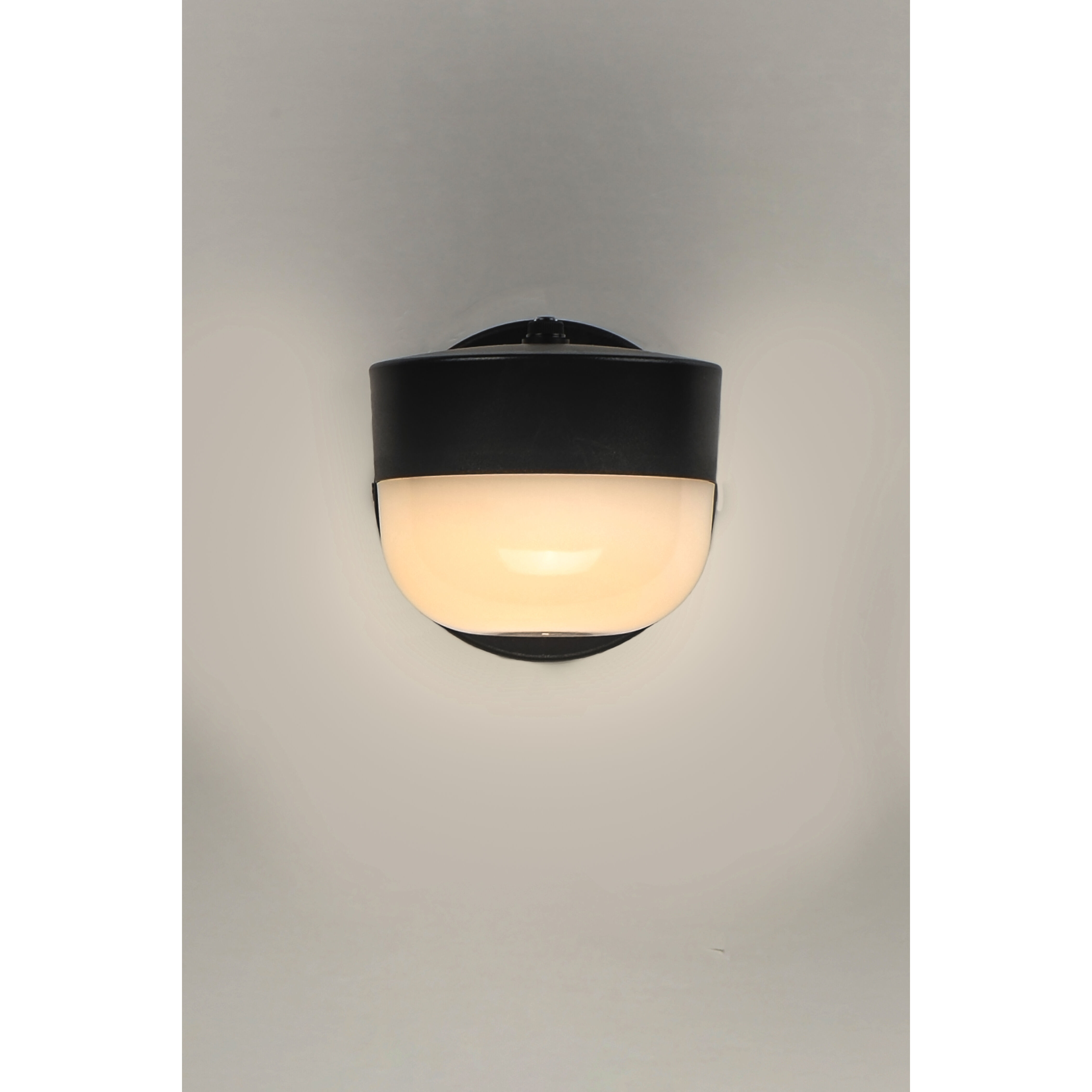 Michelle LED 5 inch Black Outdoor Wall Mount