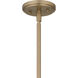 Renee 4 Light 15 inch Bronze Gold Pendant Ceiling Light