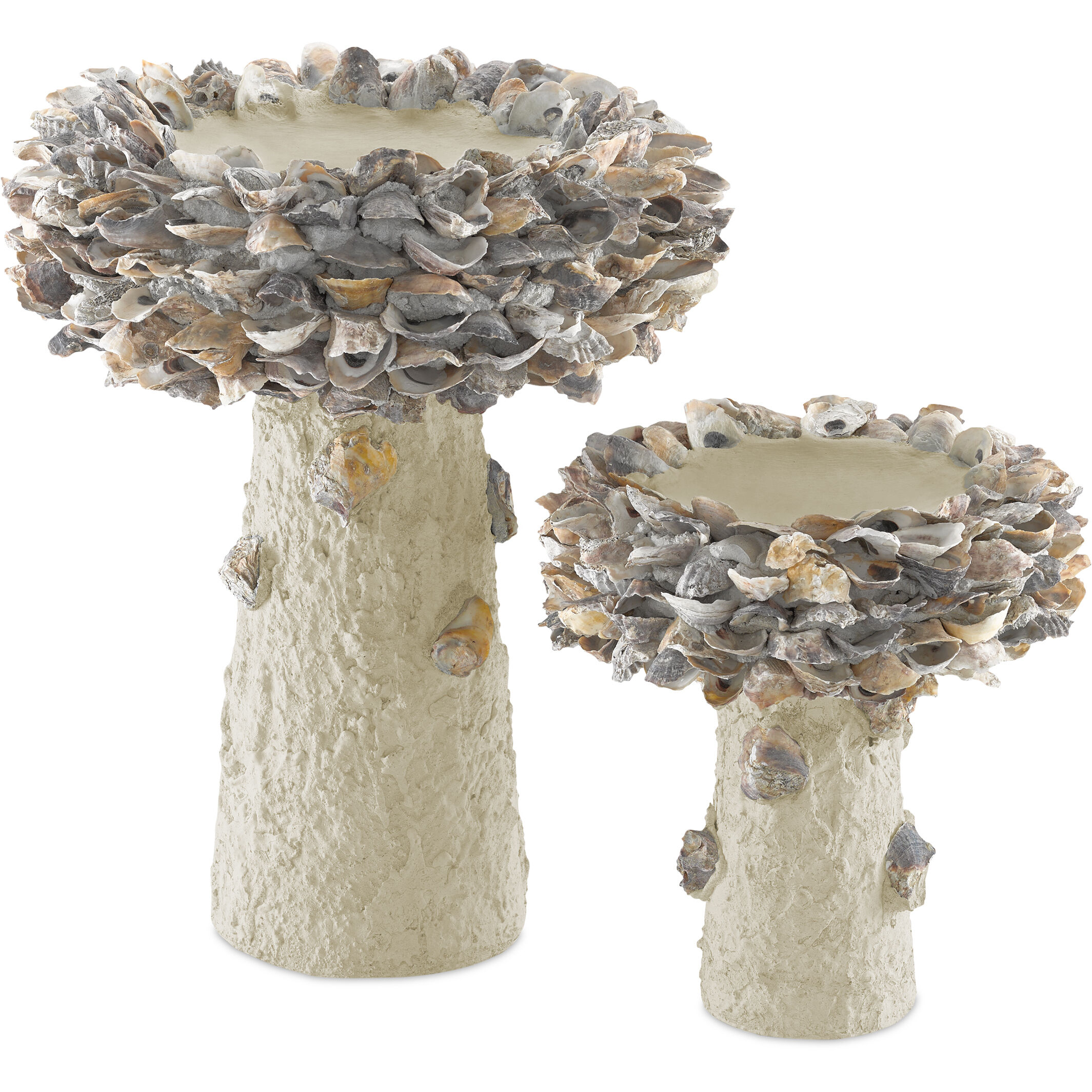Oyster Shell Natural Bird Bath, Small