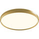 Skylight 24 inch Brushed Champagne Flush Mount Ceiling Light