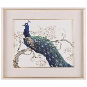 Tim O'Toole's Peacock and Blossoms I Giclees, Animal