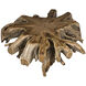 Teak Root Clear Coat Semi - Multilayered Coffee Table