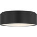 Albee 2 Light 13 inch Midnight Black Flush Mount Ceiling Light, Medium