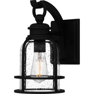Bowles 1 Light 6.5 inch Earth Black Outdoor Lantern, Small
