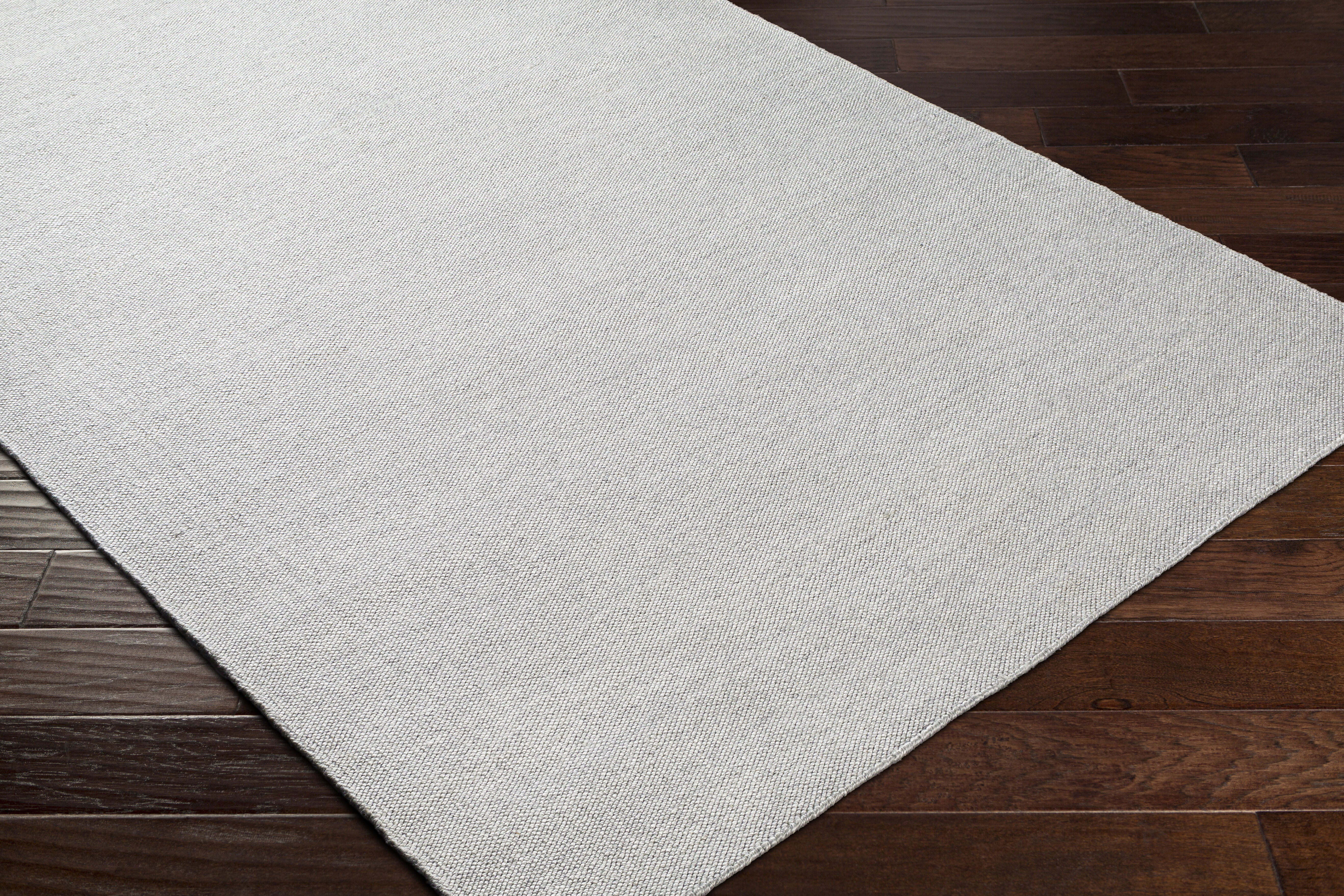 Acacia 36 X 24 inch Light Gray Rug in 2 x 3, Rectangle