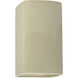 Ambiance Collection LED 13.5 inch Vanilla (Gloss) Outdoor Wall Sconce