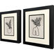 Simple Leaves Black and Beige and Neutral Framed Art, Propac