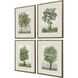 Landscapes Green and Brown and Gray and White Framed Art