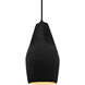 Radiance Collection - Crease Pendant Ceiling Light in Matte Black, Dedicated LED, Black Cord, Carbon Matte Black/Champagne Gold, Form+Finish+Function