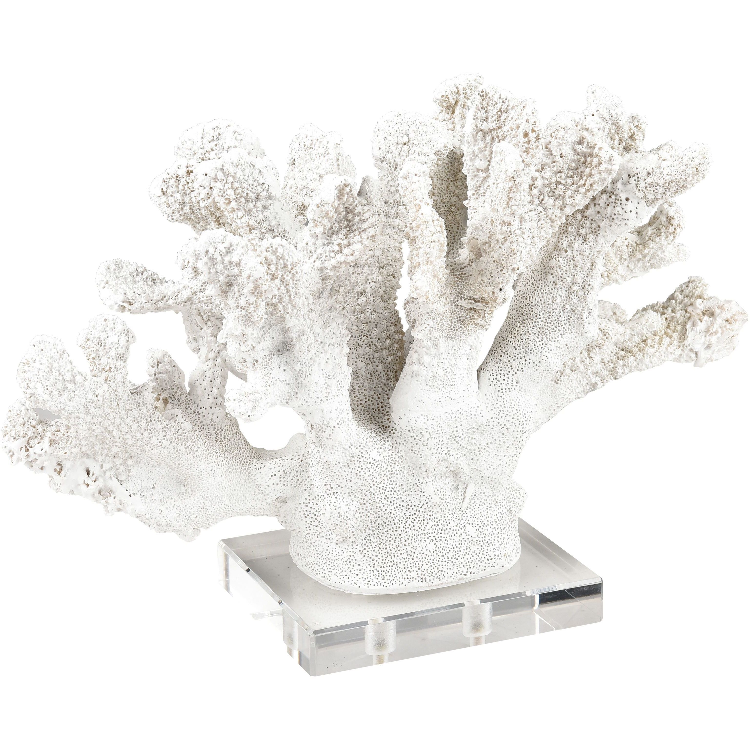 Coral 11.75 X 8.25 inch Sculpture, Set of 2