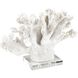 Coral 11.75 X 8.25 inch Sculpture, Set of 2