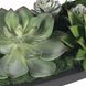 Verde Succulent Black and Green Centerpiece In Bowl