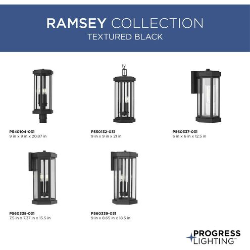 Ramsey 2 Light 15.5 inch Textured Black Outdoor Wall Lantern