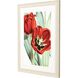 Florals Collection Red Framed Art