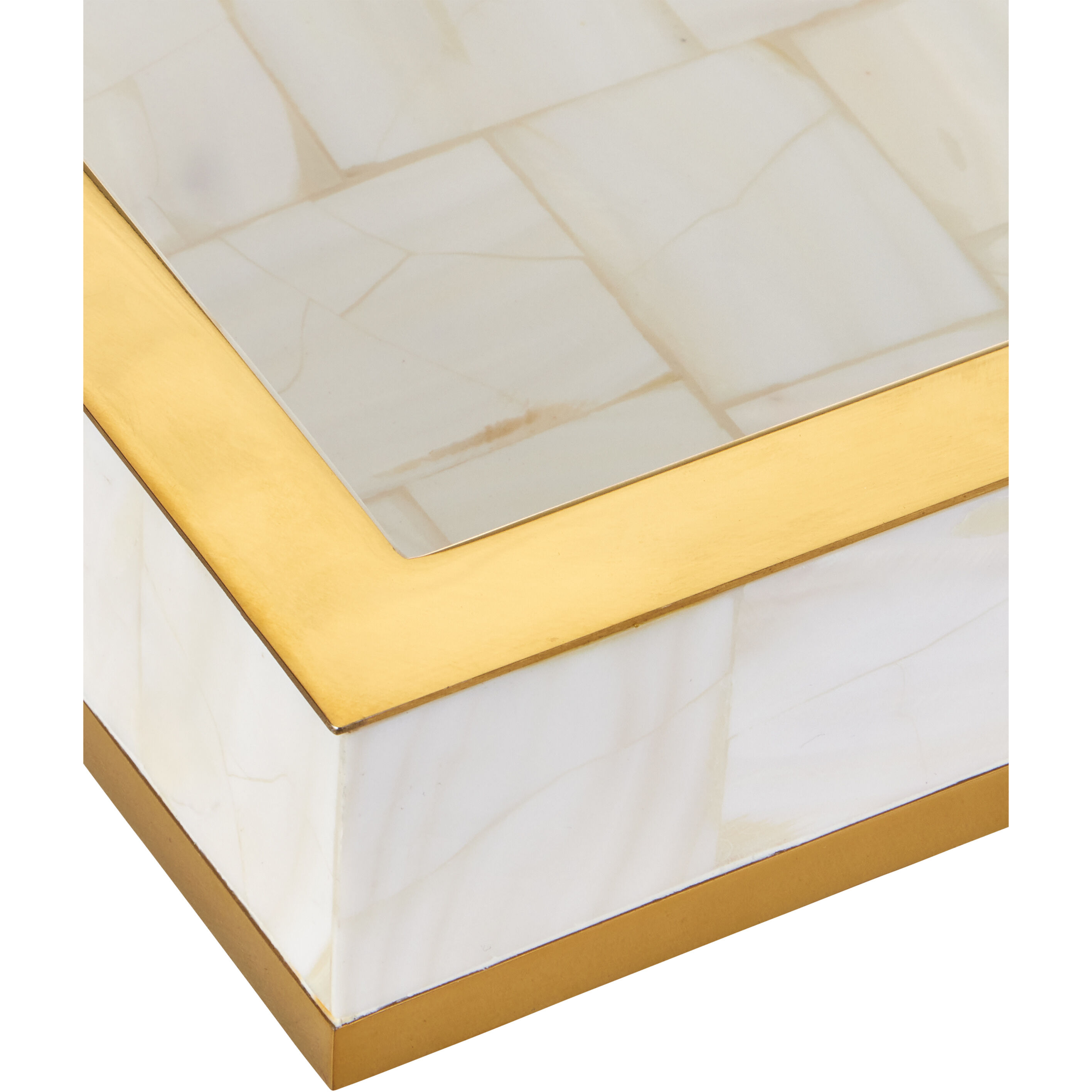 Casey Natural/Brass Trays, Set of 2