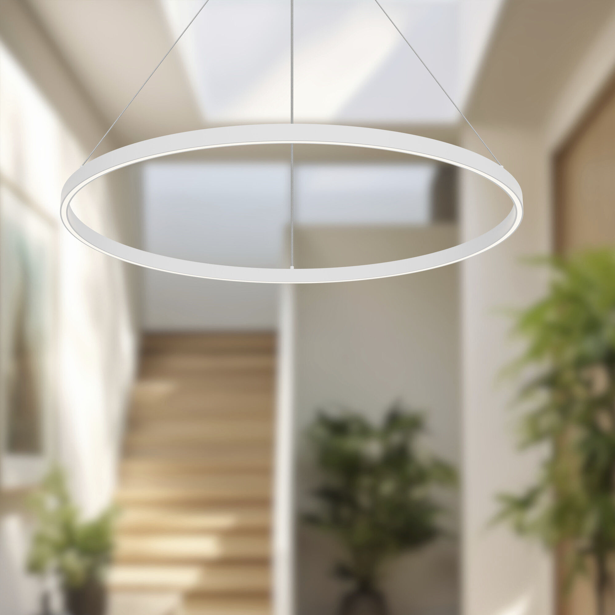 Cerchio Pendant Ceiling Light in White