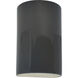 Ambiance LED 9.5 inch Gloss Grey Outdoor Wall Sconce in Gloss Gray