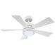 Wynd 42 inch Stainless Steel Downrod Ceiling Fan in 2700K