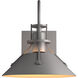 Henry 1 Light 10.5 inch Coastal Burnished Steel Outdoor Sconce, Small