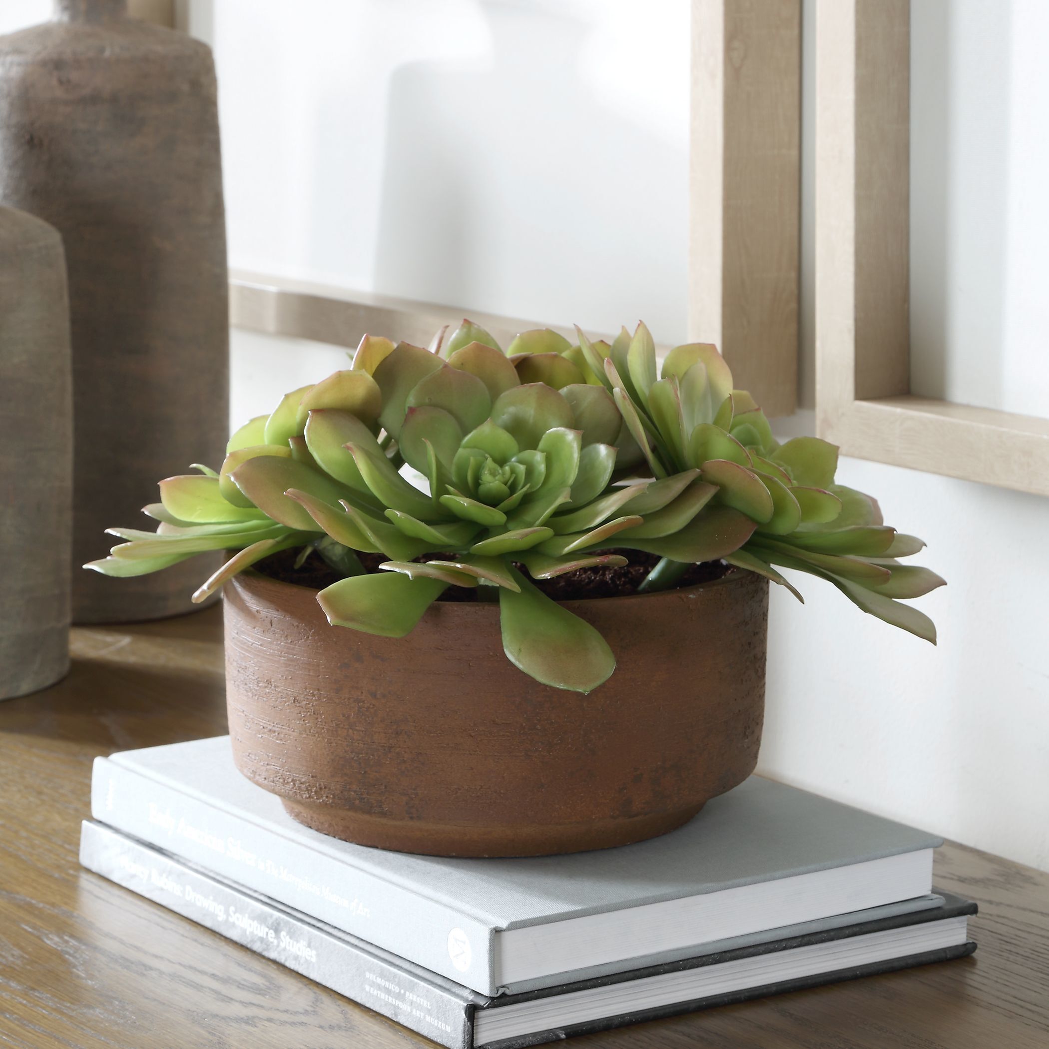 Sable Succulent Terracotta and Green Accent In Pot