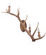 IL Series 12 inch Natural Wall Sconce Wall Light