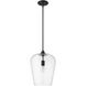 Joliet 1 Light 12 inch Matte Black Pendant Ceiling Light