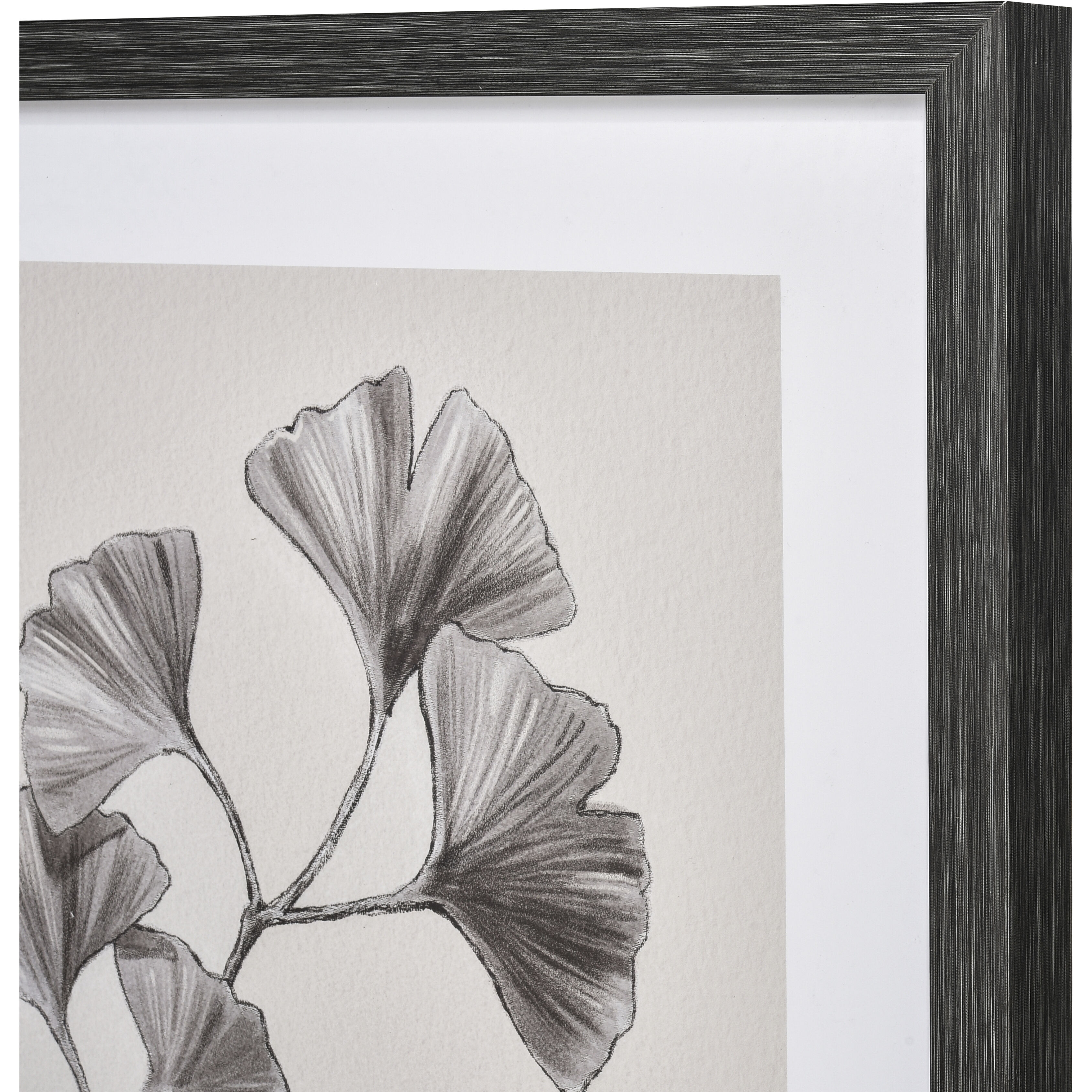 Ginkgo Botanic Ivory with Black and Clear Framed Wall Art
