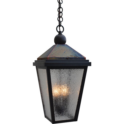 Lancaster 2 Light 9 inch Verdigris Patina with Raw Copper Accents Outdoor Pendant in Clear Seedy
