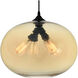 Glass 4 Light 16 inch Black Down Pendant Ceiling Light