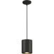 Pilson XL LED 6 inch Matte Black Pendant Ceiling Light