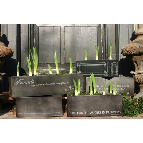 Bulb Antique Black Planter