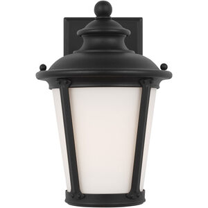 Cape May 1 Light 10.5 inch Black Outdoor Wall Lantern