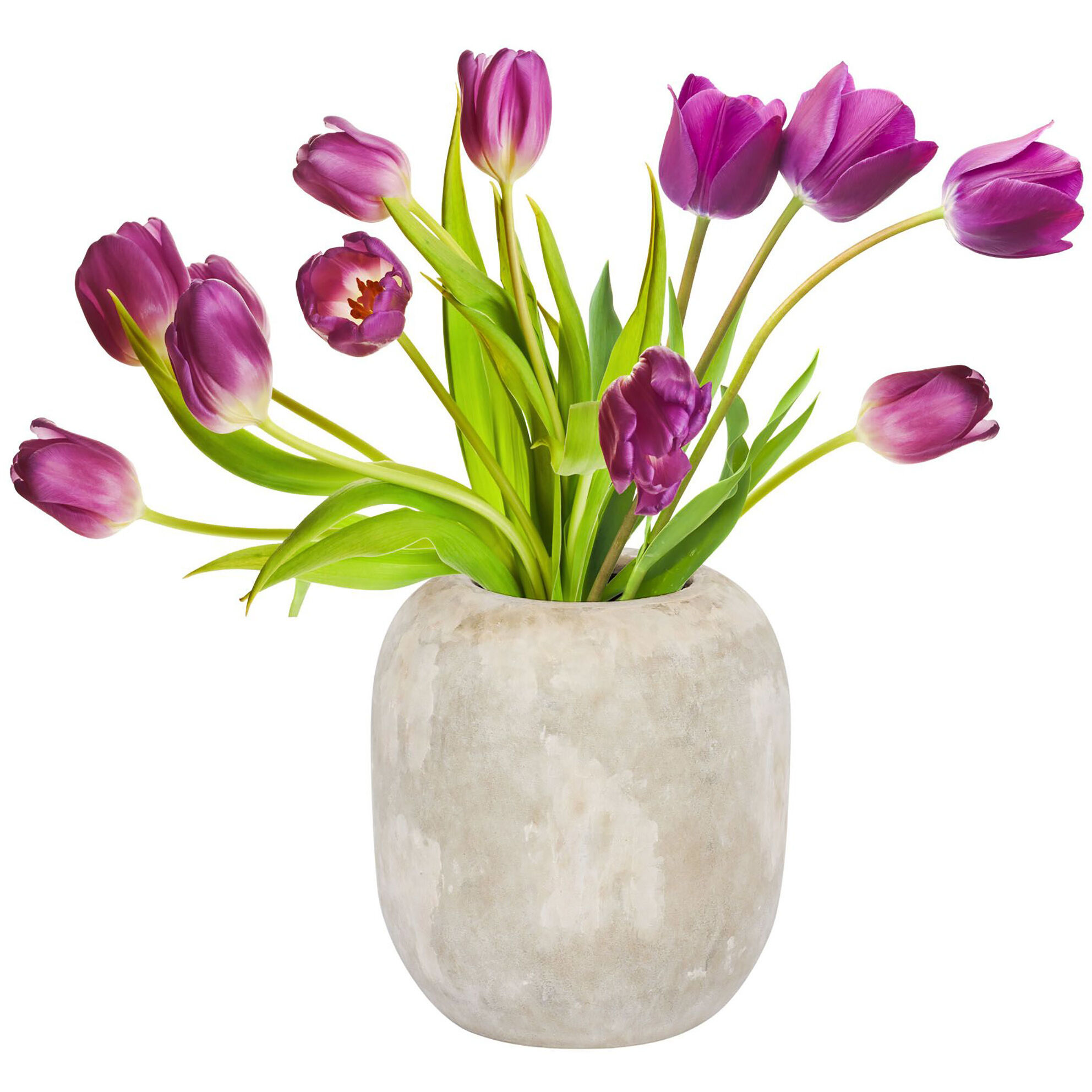 Potty 6 inch Vase