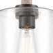 Paladin 1 Light 7 inch Matte Black Mini Pendant Ceiling Light