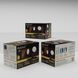 Outdoor Security LED 8.75 inch Bronze Outdoor Security