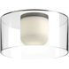 Birch LED 12 inch Black and Clear Flush Mount Ceiling Light