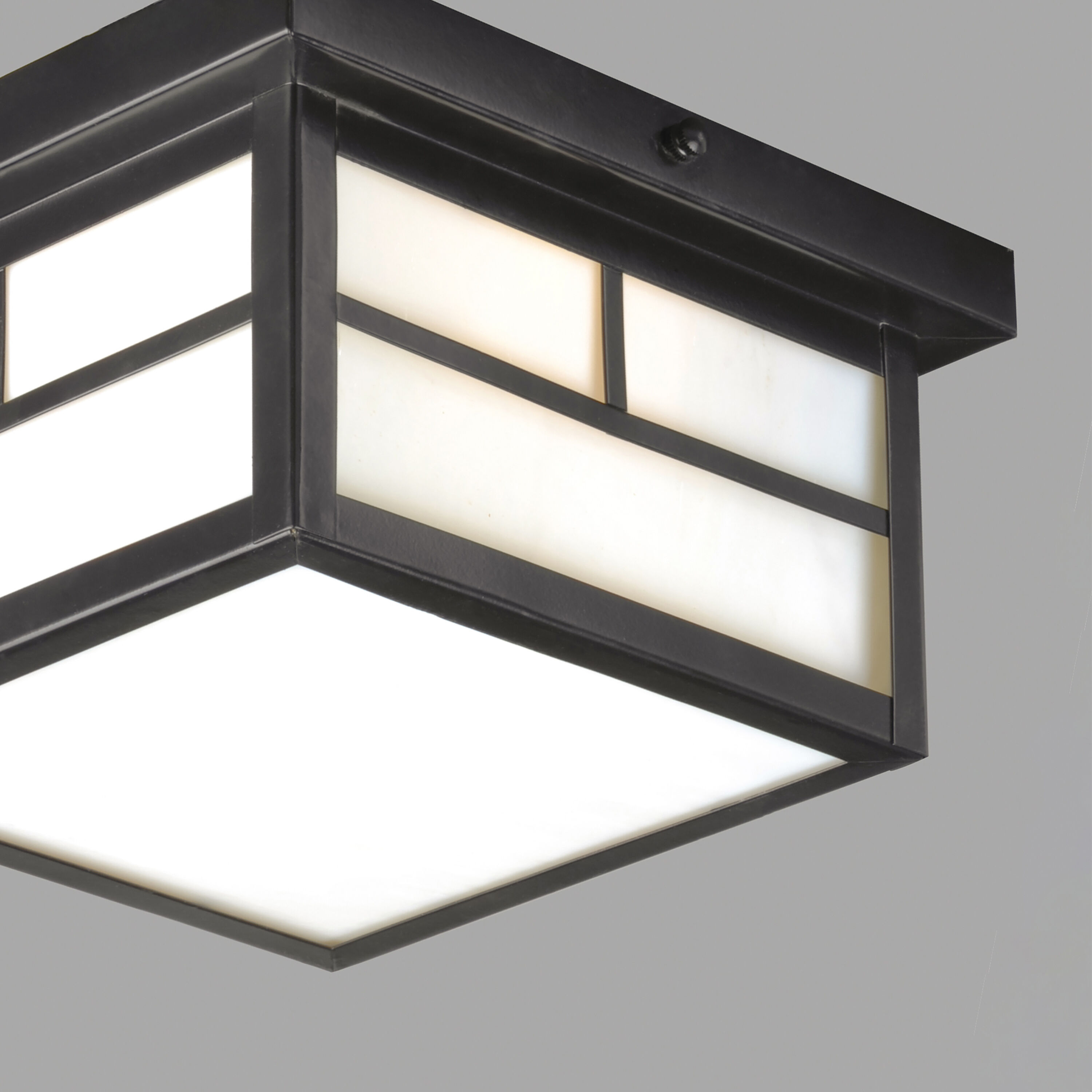 Coldwater 2 Light 9 inch Black Outdoor Flush Mount in White