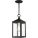 Nyack 1 Light 6 inch Black with Brushed Nickel Cluster Outdoor Pendant Lantern