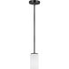 Alturas LED 3.5 inch Midnight Black Mini-Pendant Ceiling Light