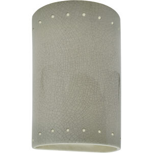 Ambiance Cylinder LED 9.5 inch Celadon Green Crackle Outdoor Wall Sconce, Small