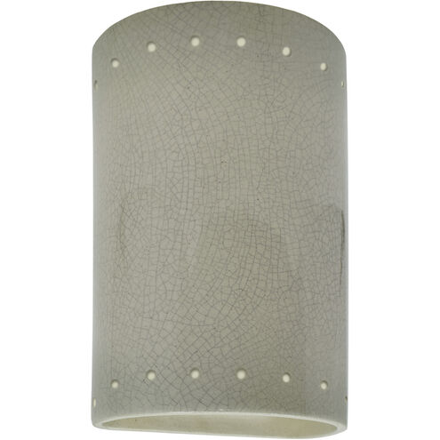 Ambiance Cylinder LED 9.5 inch Celadon Green Crackle Outdoor Wall Sconce, Small
