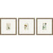Florals Collection Green Framed Art